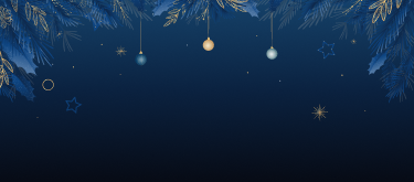 christmas banner